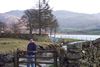 more farm