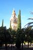 mezquita