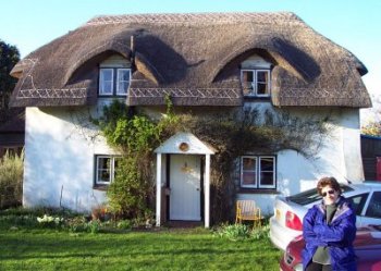 thatch