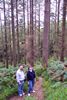 Torc waterfall
